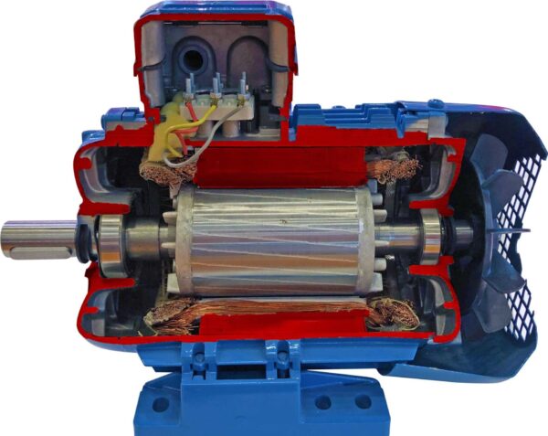 Учебная модель «Электродвигатель асинхронный», в разрезе