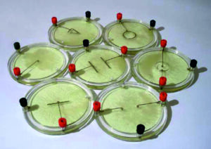 Демонстрационный комплект «Силовые линии электрического поля разных систем зарядов»